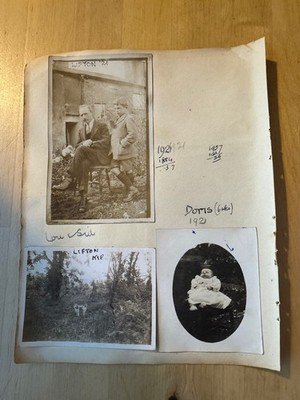 Photo - 6 Photographs - Lifton & Bournemouth - Devon Dorset England Dog 20s/30s - Image 2