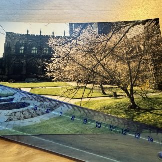 Photo - Chester - 1986 - Cheshire England Britain UK GB Park Landscape View Old