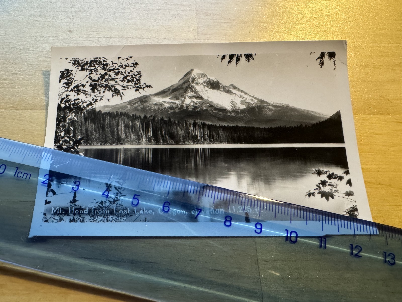 Photo - Mount Hood From Lost Lake Hood River County - c1940s Oregon USA America