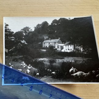 Photo - Parkmill Swansea - c1950s - Glamorgan Wales UK GB House or Farm or Hotel