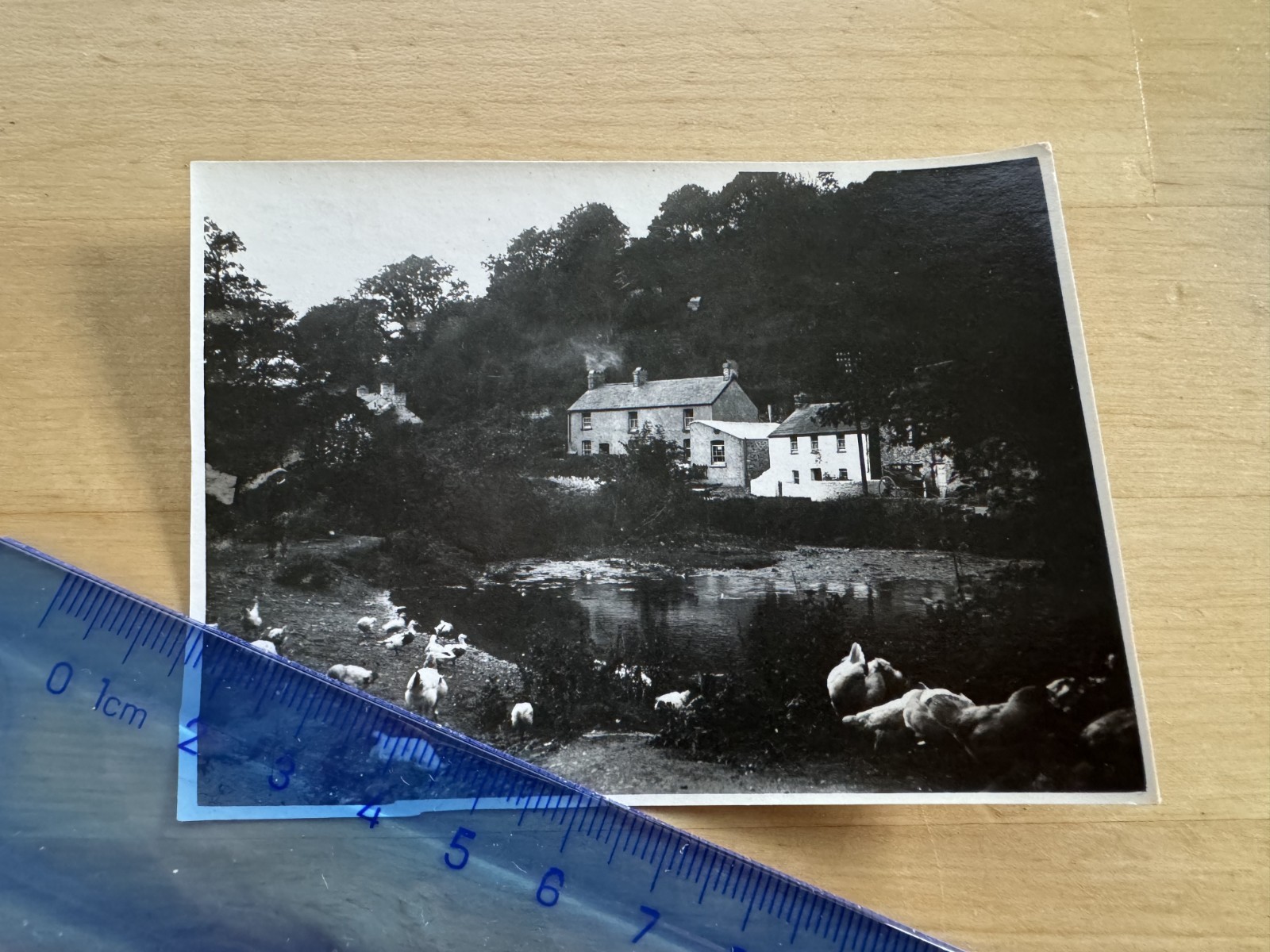 Photo - Parkmill Swansea - c1950s - Glamorgan Wales UK GB House or Farm or Hotel