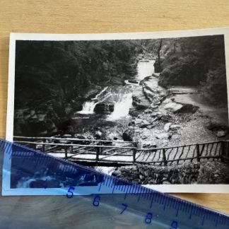 Photo - Watersmeet - 1953 - Devon England Britain UK GB - Bridge Stream Nature