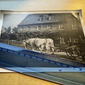 Photo - Possibly Bonham Somerset Wiltshire or Bayreuth in Bavaria Germany c1950s