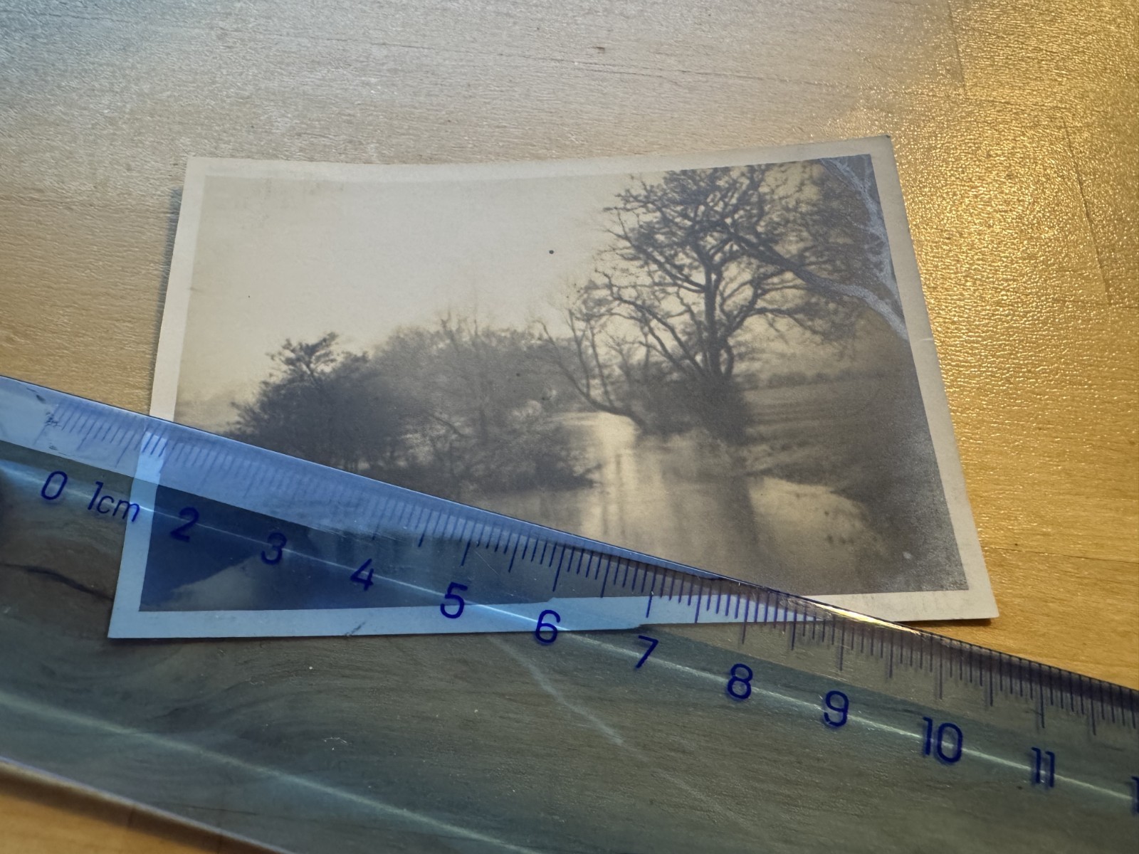 Photo - View Somewhere in Hertfordshire - c1950s - England Britain UK GB Scenic
