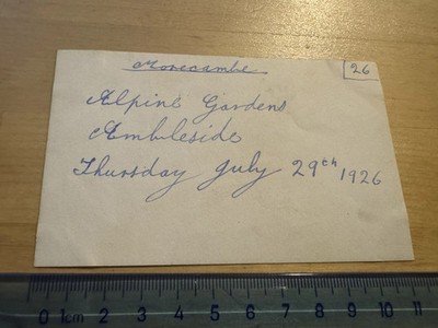 Photo - Alpine Gardens Ambleside - 1926 - Cumbria England Britain UK History Old - Image 2