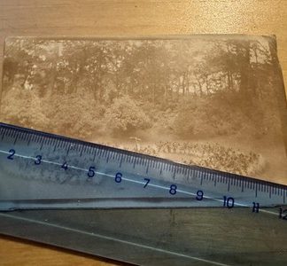 Photo - Italian Flower Garden Hesketh Park Southport - 1920s - Lancashire UK Old