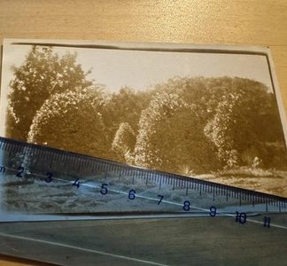 Photo - Gardens at New Brighton Park - 1923 - Cheshire England Britain UK Old