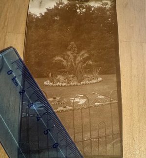 Photo - Carpet Gardens Hesketh Park Southport - 1920s - Lancashire England UK