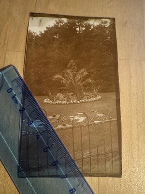 Photo - Carpet Gardens Hesketh Park Southport - 1920s - Lancashire England UK