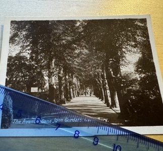 Photo - The Avenue Dane John Gardens Canterbury - c1940s - Kent England UK Old