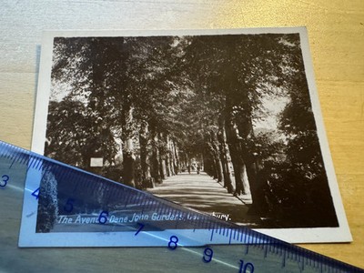 Photo - The Avenue Dane John Gardens Canterbury - c1940s - Kent England UK Old